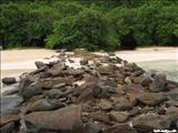 Flamenco Beach - CULEBRA